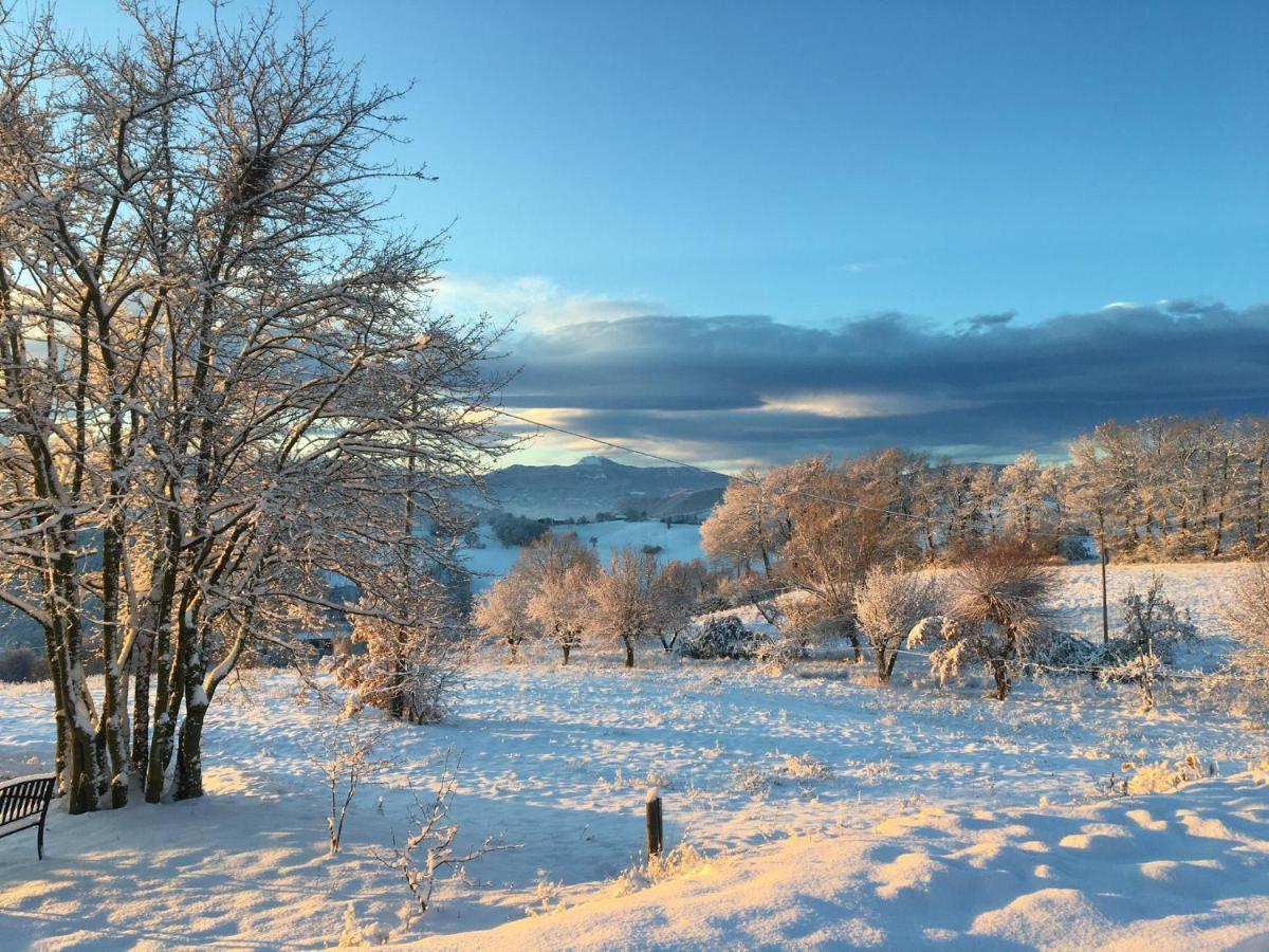 Agriturismo Il Filare Neviano degli Arduini Екстериор снимка